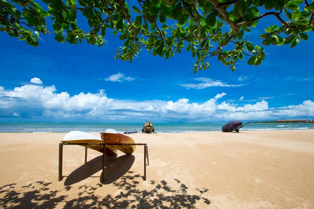 beach and tropical sea