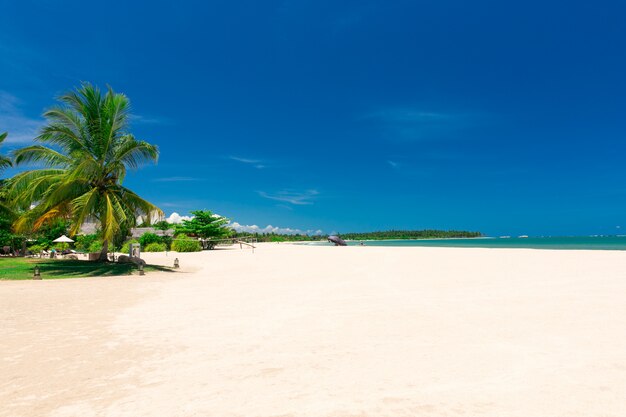 Beach and tropical sea