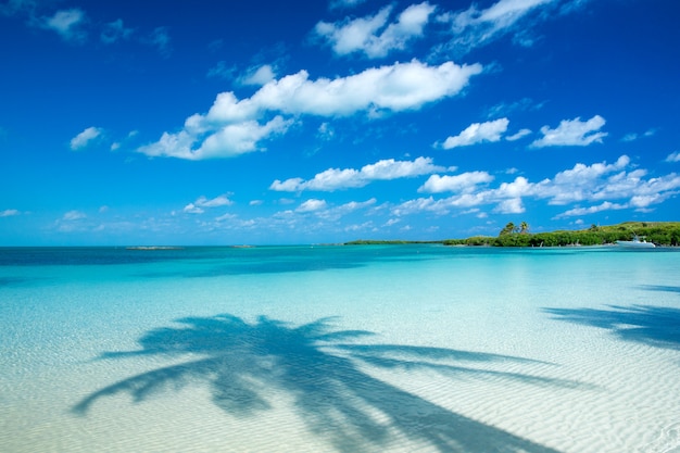 Foto spiaggia e mare tropicale