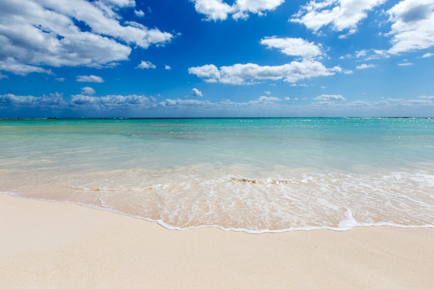 Beach and tropical sea