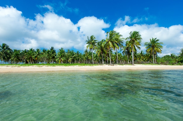 Beach and tropical sea