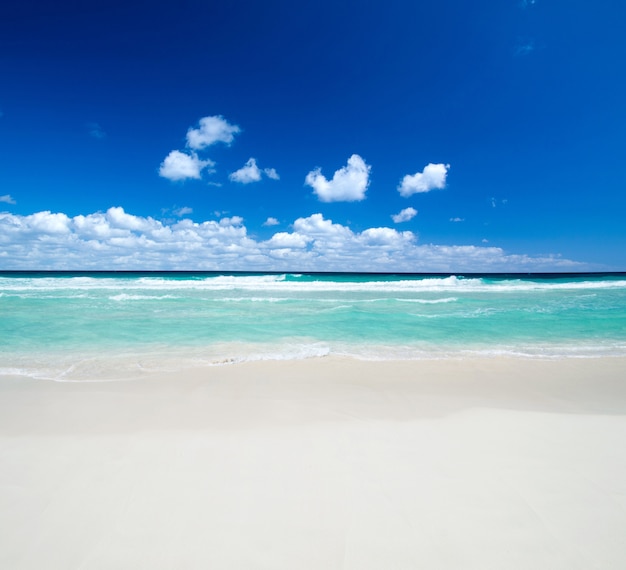 Beach and tropical sea