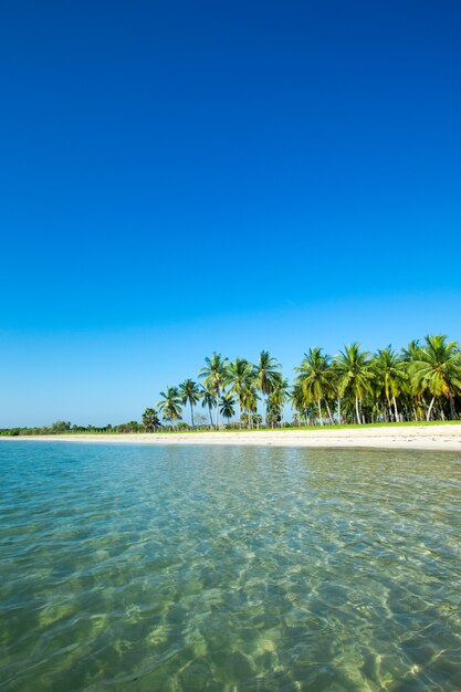 Beach and tropical sea