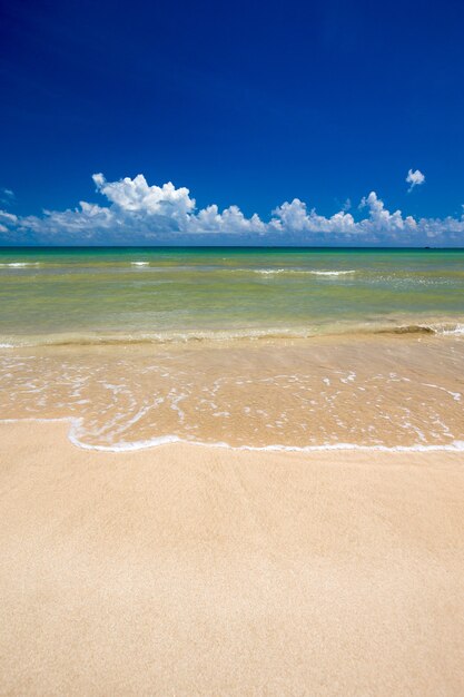 Beach and tropical sea