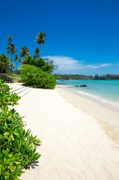 Beach and tropical sea