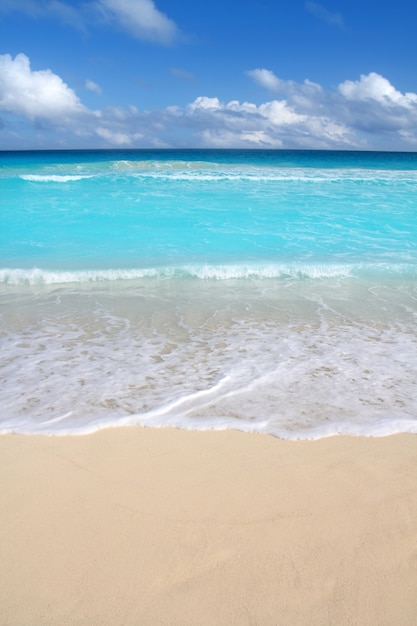 Mare tropicale turchese caraibico verticale della spiaggia