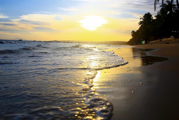 Beach in the tropics