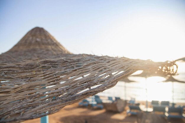 beach umbrella on the shores of the red sea