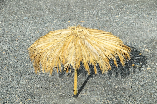 Beach Umbrella