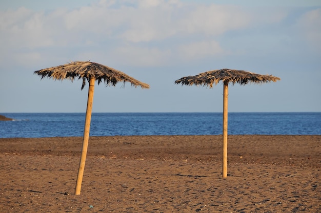 Beach Umbrella