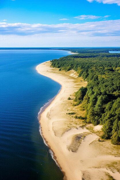 a beach with a beach and a body of water with trees in the background