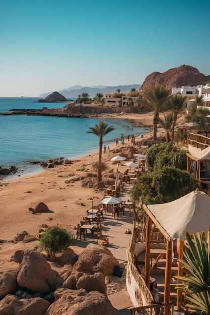 a beach with a beach and palm trees and a tent that says  no