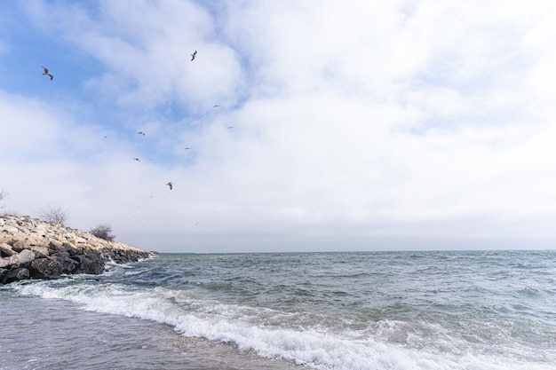 Photo a beach with a blue sky and a lighthouse on the shore