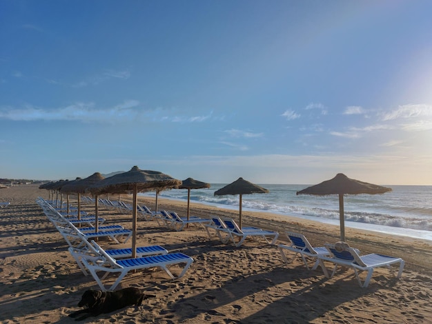 A beach with a blue sky and white chairs and umbrellas