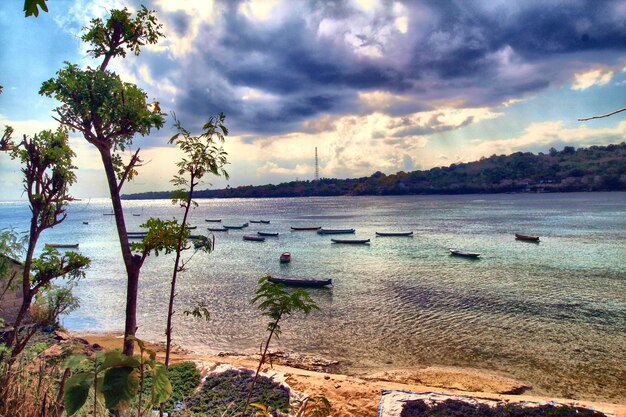 A beach with boats and trees in the foreground and a cloudy sky in the background.