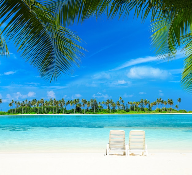 Beach with chairs