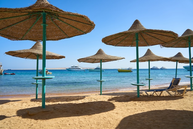 Beach with clean white sand on a sunny day