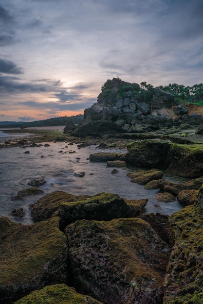 Photo a beach with a cloudy sky and a tree covered cliff in the foreground.