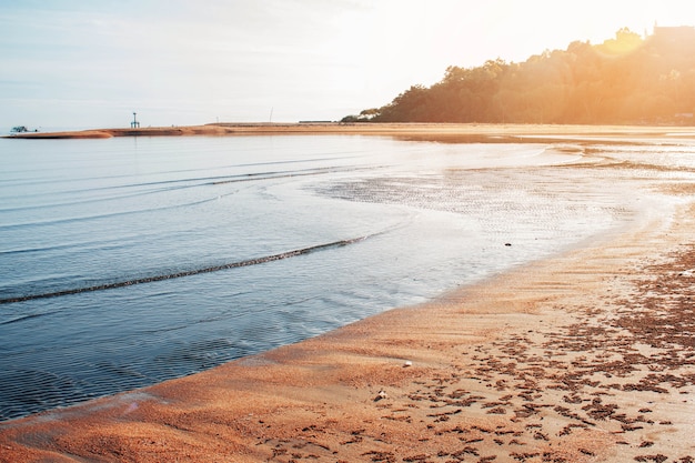 Foto spiaggia con la sporcizia