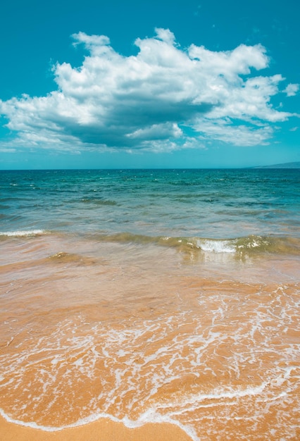 Foto spiaggia con sabbia dorata turchese acqua dell'oceano vista panoramica sul mare sfondo naturale per l'estate