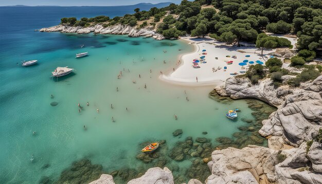 a beach with a lot of people on it