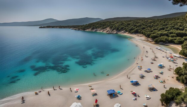 a beach with a lot of people on it