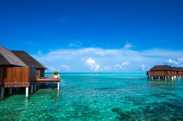 Beach with  maldives