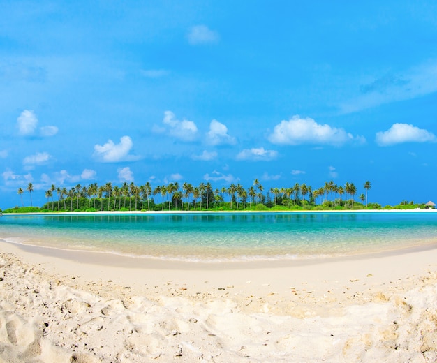 Beach with  Maldives