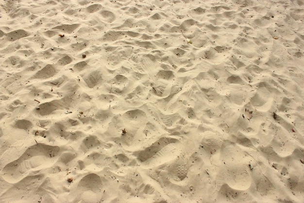 足跡と腐植が多いビーチ