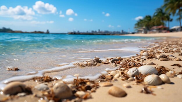 a beach with a palm tree and a beach in the background