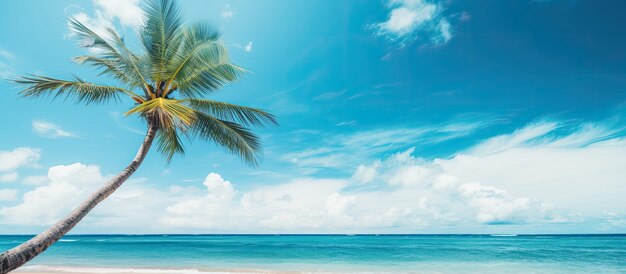 beach with a palm tree a blue sky and white clouds It represents the concepts of summer vacation