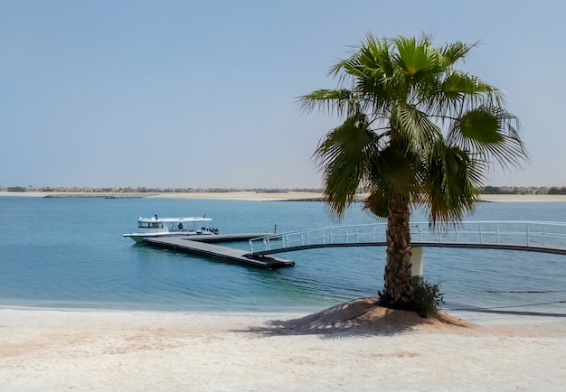 Beach with palm tree, pier and boat on the Arabian Gulf.