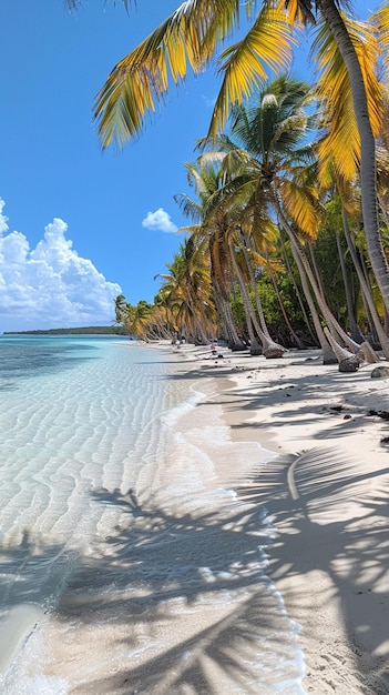 a beach with palm trees and a blue sky with clouds in the background