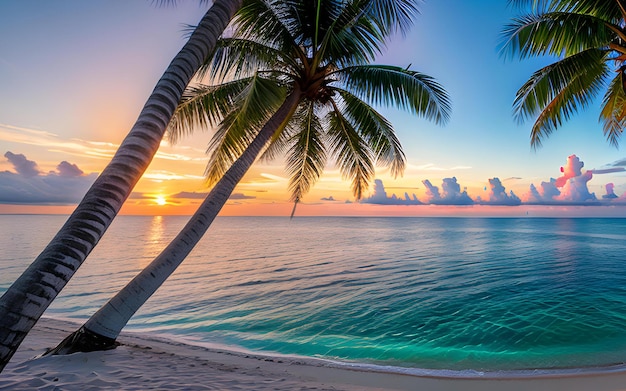 Foto spiaggia con palme al tramonto