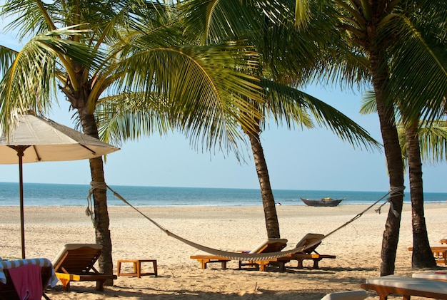 Beach with palm trees