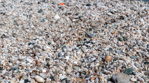 A beach with pebbles and rocks that have a red mark on it.