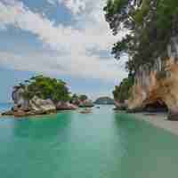 Photo a beach with a rock formation and a beach with a tree in the middle