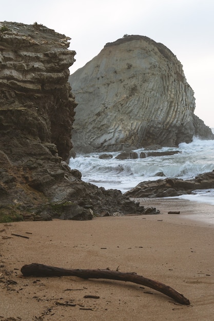 トランクのある曇りの日の岩のあるビーチ