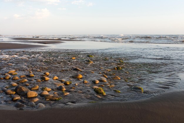 A beach with rocks and water in the foreground