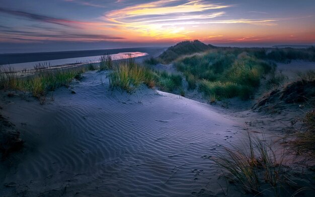 Photo a beach with sand and grass on it and a sunset in the background