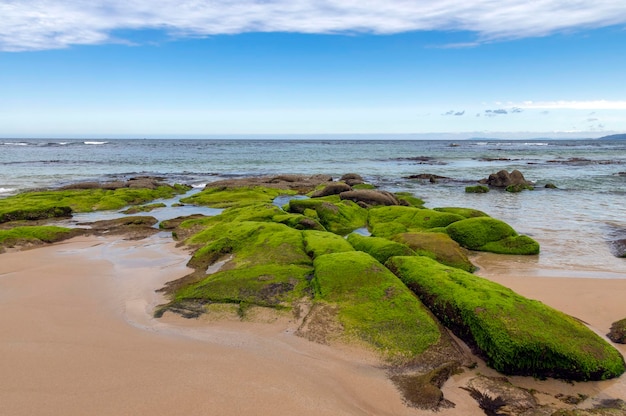 Пляж с песком, скалами, морем, зелеными водорослями, голубым небом и белыми облаками.