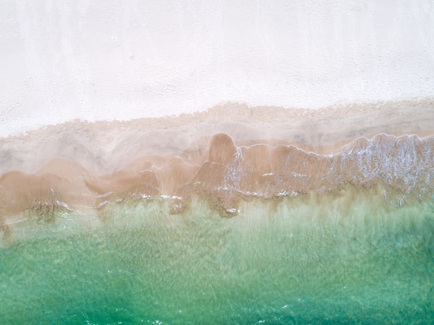 Beach with sea and palm taken from drone