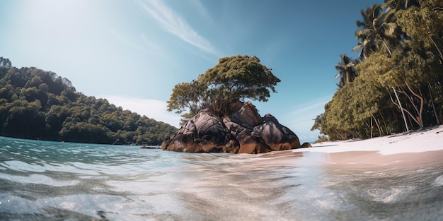 A beach with a tree on it and the ocean in the background.