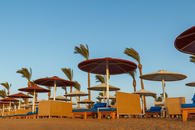 Beach with umbrellas, sunbeds and palm trees on Red Sea in Egypt