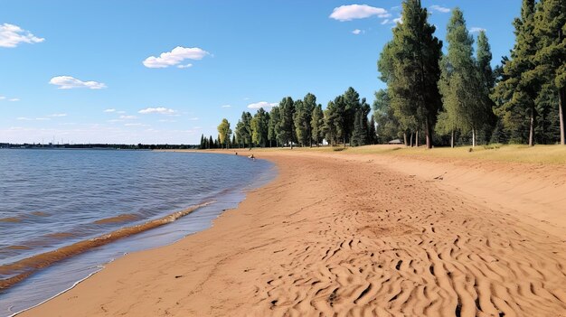 湖と木の景色のあるビーチ 高解像度HD写真クリエイティブ画像