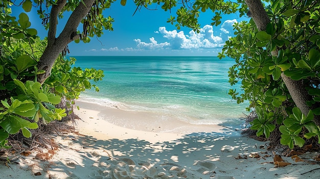 Photo a beach with a view of the ocean and the ocean