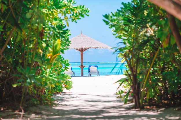 Foto tiri le sedie in legno in secco per le vacanze sulla spiaggia tropicale