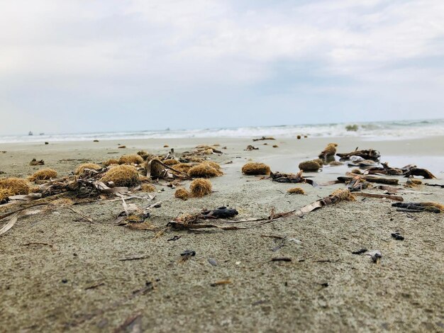 Photo at the beach