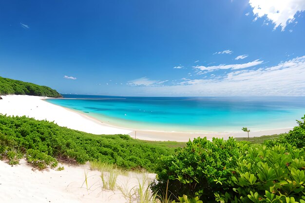 beaches and reefs in summer