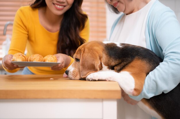 母親が洗濯機に服を入れている間、飼い主の腕の中でカメラを見つめるビーグル犬